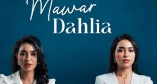 Mawar Dahlia